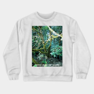 Garayonay National Park La gomera island Crewneck Sweatshirt